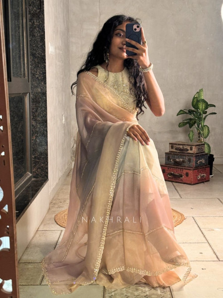 Celestine Multicolor Organza Saree with Stone Embellished Border