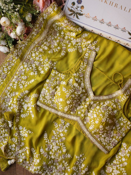 Velmira Green Parrot Embroidered Saree with Heavy Thread Work and Readymade Blouse