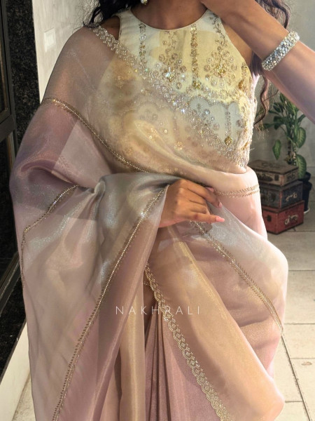 Celestine Multicolor Organza Saree with Stone Embellished Border