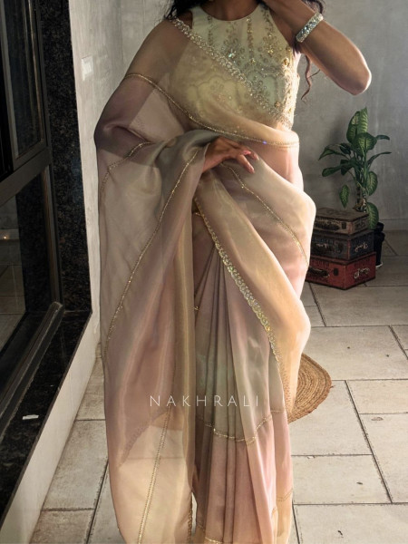 Celestine Multicolor Organza Saree with Stone Embellished Border