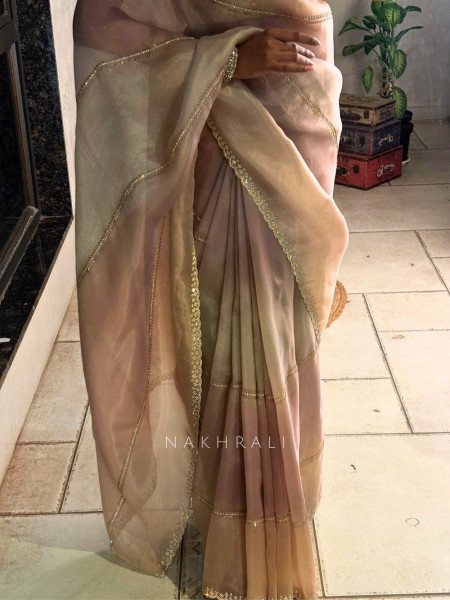 Celestine Multicolor Organza Saree with Stone Embellished Border