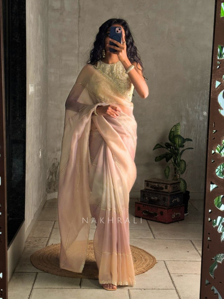 Celestine Multicolor Organza Saree with Stone Embellished Border