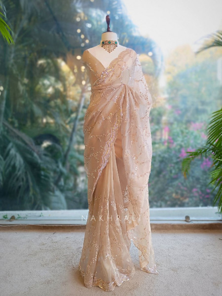 Warm Allure Brown Tissue Saree with Sequin and Cut Dana Work