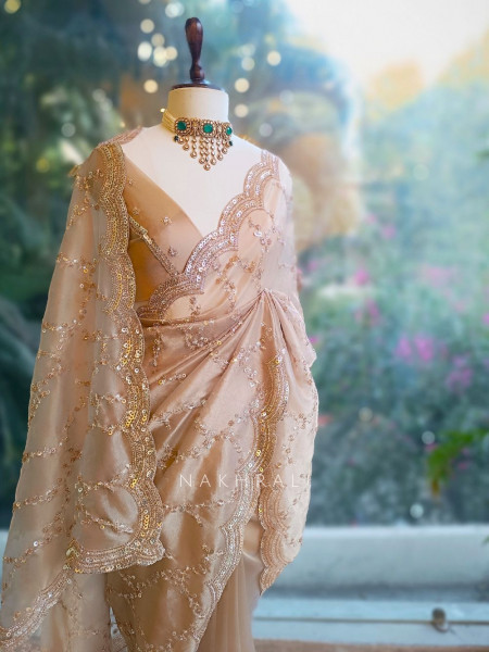 Warm Allure Brown Tissue Saree with Sequin and Cut Dana Work