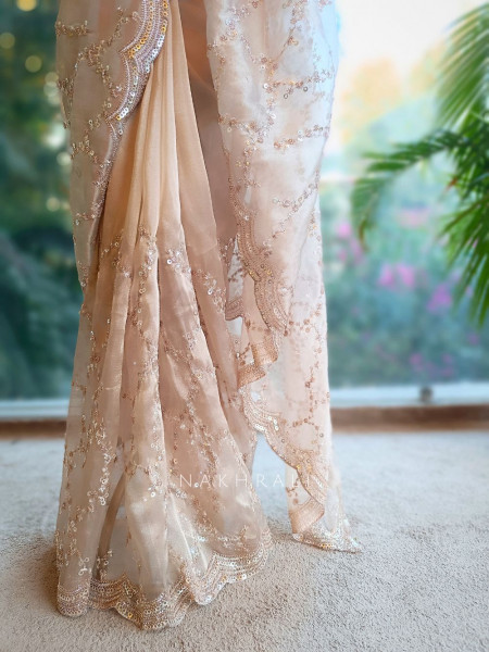 Warm Allure Brown Tissue Saree with Sequin and Cut Dana Work