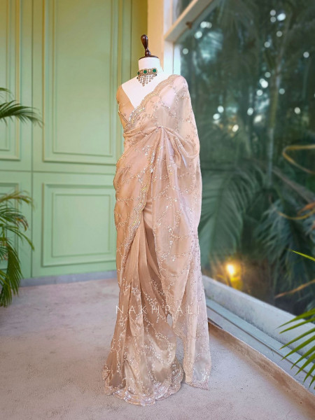 Warm Allure Brown Tissue Saree with Sequin and Cut Dana Work