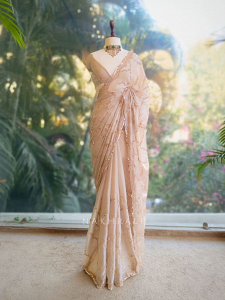 Warm Allure Beige Tissue Saree with Sequin and Cut Dana Work