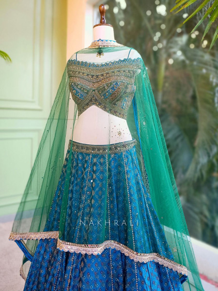 Elaris Blue Raw Silk Lehenga Set with Hand Embellishment