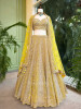 Sitara Yellow Net Lehenga with Mirror, Zari and Bead Embellishments