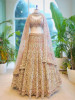 Eternal Hues Brown Bridal Lehenga with Embroidery &amp; Sequin Work