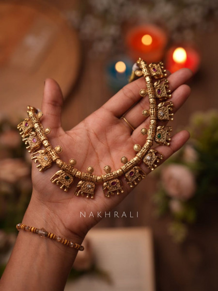 Rajvika Multicolor Elephant Motif Temple Necklace Set