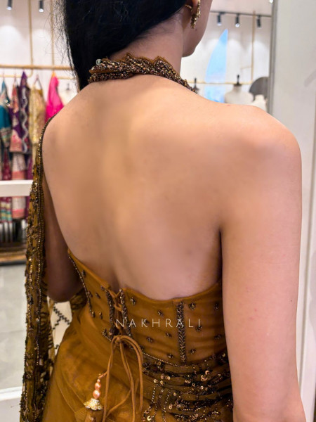 Amber Gleam Net Drape Saree with Sequin and Cut Dana Work