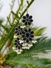 Arise Black Long Earrings