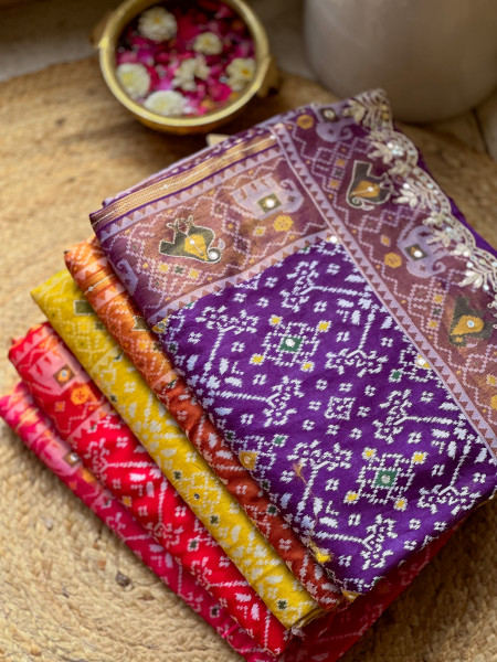 Zoraya Red Ghatchola Saree with Elephant Motif Border