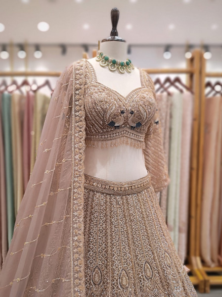 Vastra brown Net Lehenga with Cut Dana Sequin Bead Work