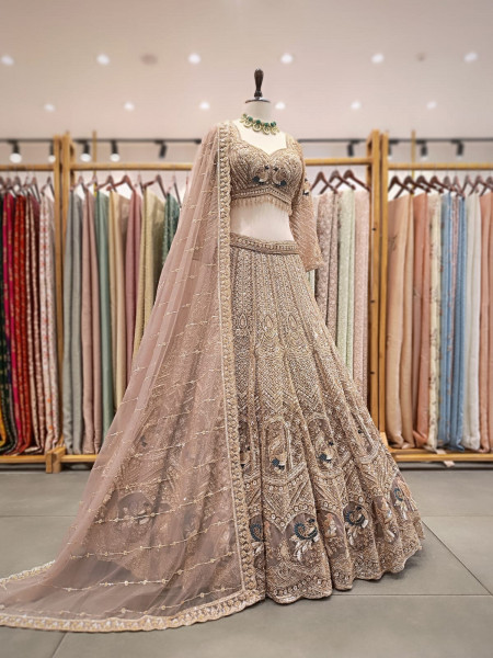 Vastra brown Net Lehenga with Cut Dana Sequin Bead Work