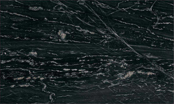 Image of Black Forest