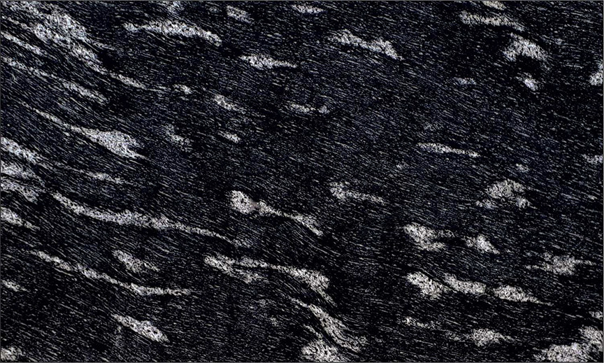Fish Black