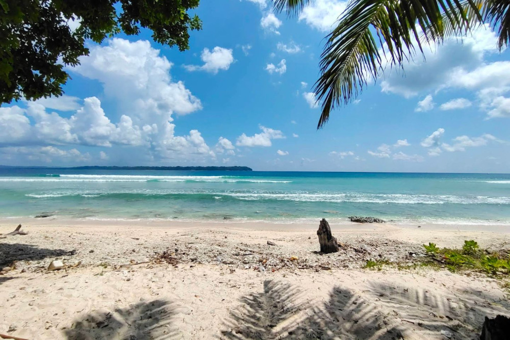 Image of Andaman - Buy 1 Get 1 Free