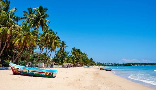 Sri Lanka - Buy 1 Get 1 Free