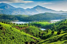 Kerala Delight