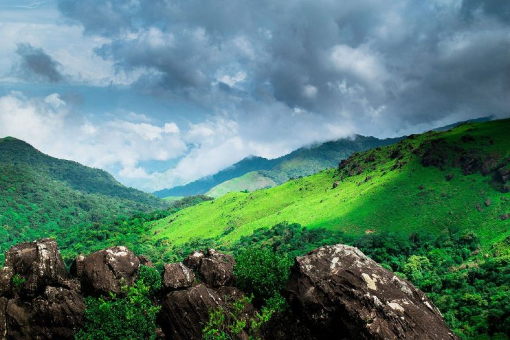 Image of South India 2026 (Coorg - Mysore - Ooty)