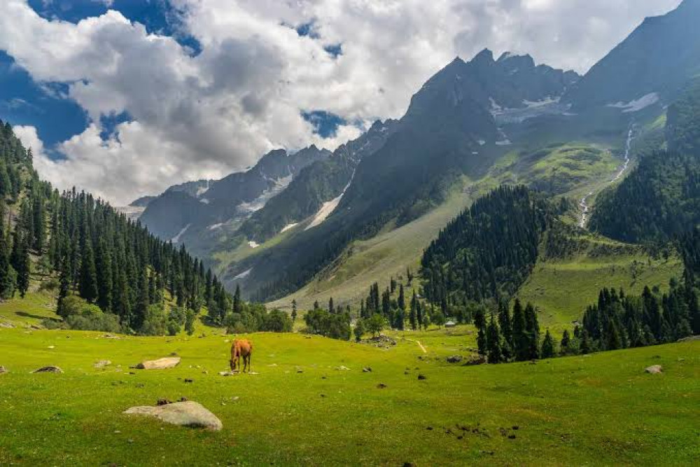 Image of Kashmir Deluxe Diwali 2026