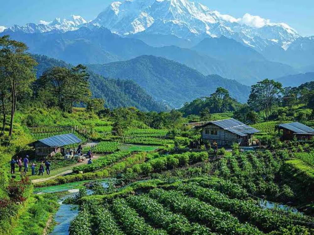 Image of Sikkim Darjeeling Deluxe Diwali 2026