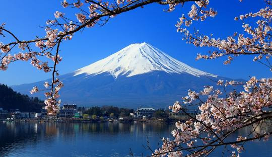 Japan Cherry Blossom Tokyo-Kobe - Pure Veg Per Person Rate 8N9D