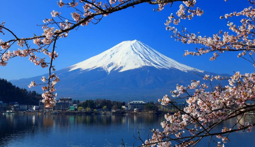 Image of The Grand Bargain Japan
