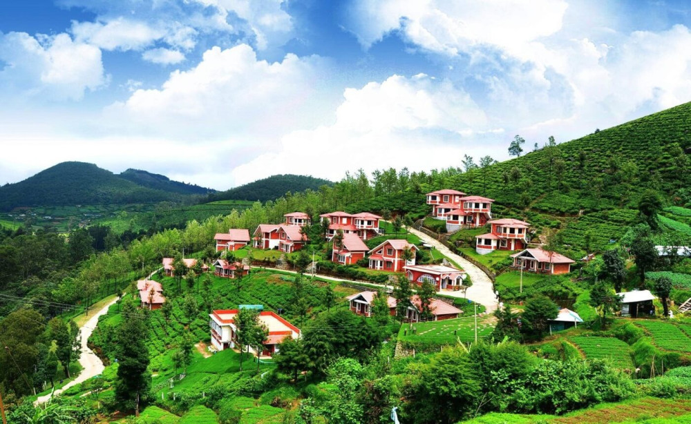Image of Mysore Coorg Ooty Diwali 2026