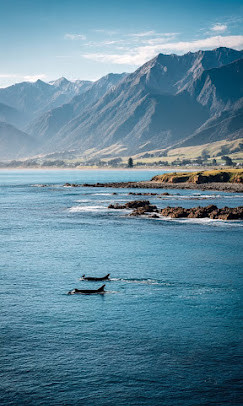 Scenic New Zealand - Winter 9N 10D