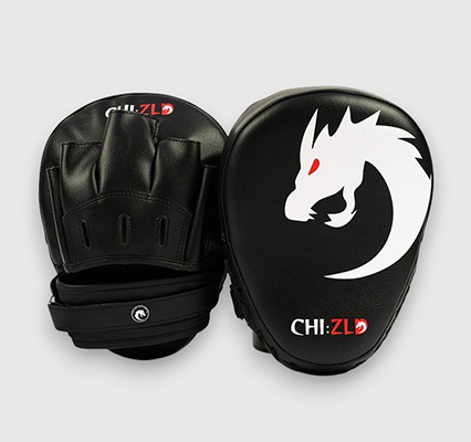 Focus Mitts &amp; Muay Thai Pads