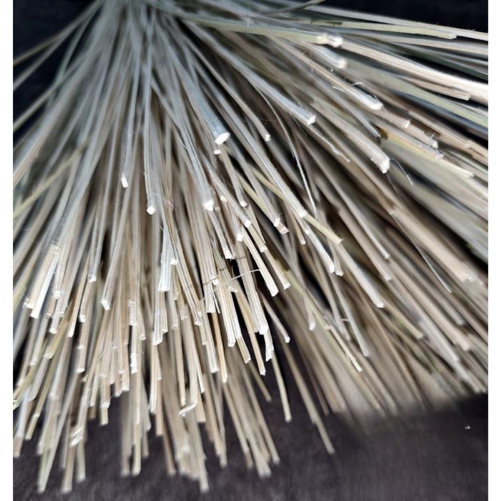 Compound Broom Tilla