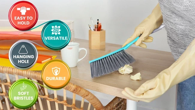 Carpet Brush Plastic