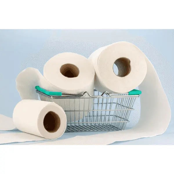 Toilet roll 480 sheets 2 Ply Wintex 1280N