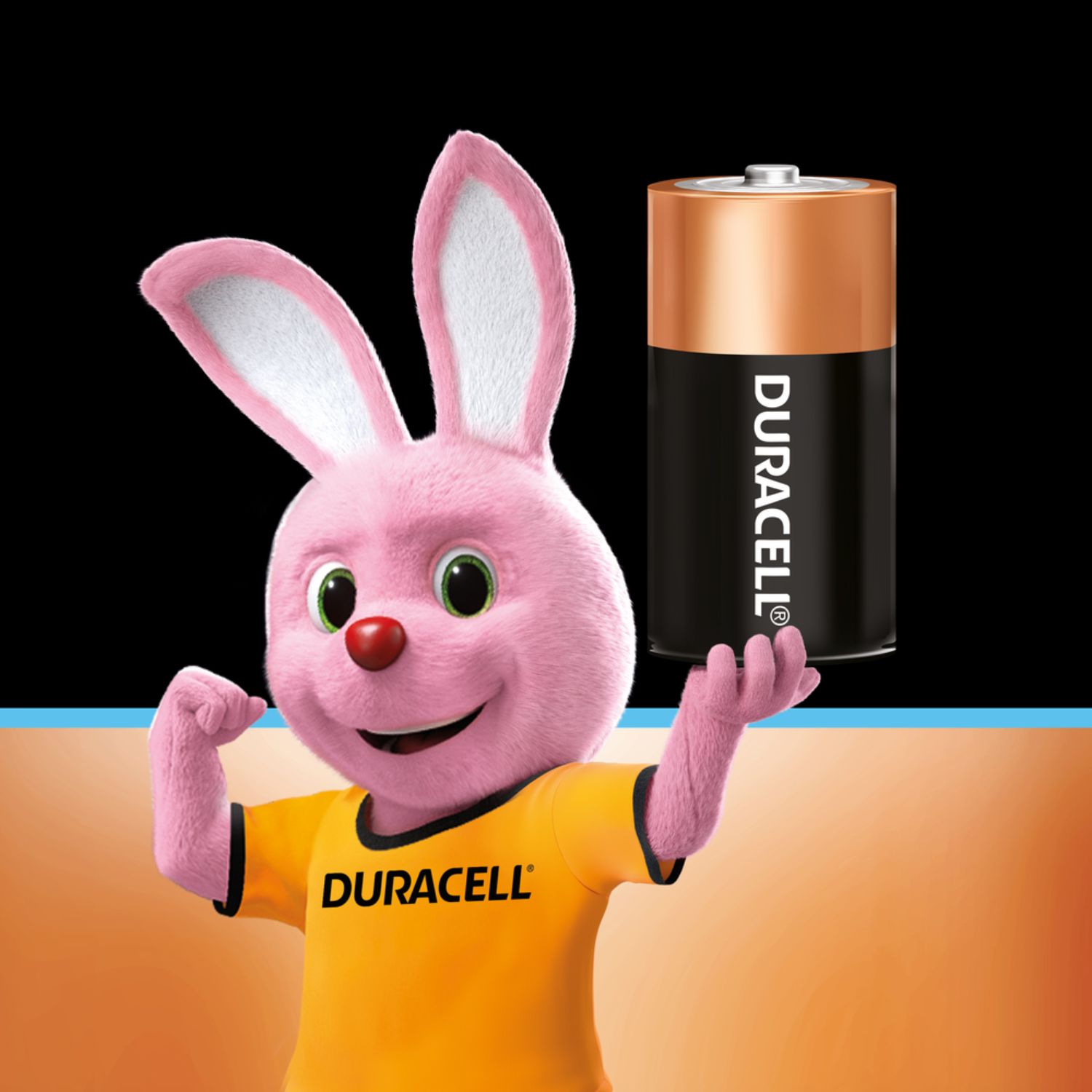Duracell Ultra Alkaline C Type Battery