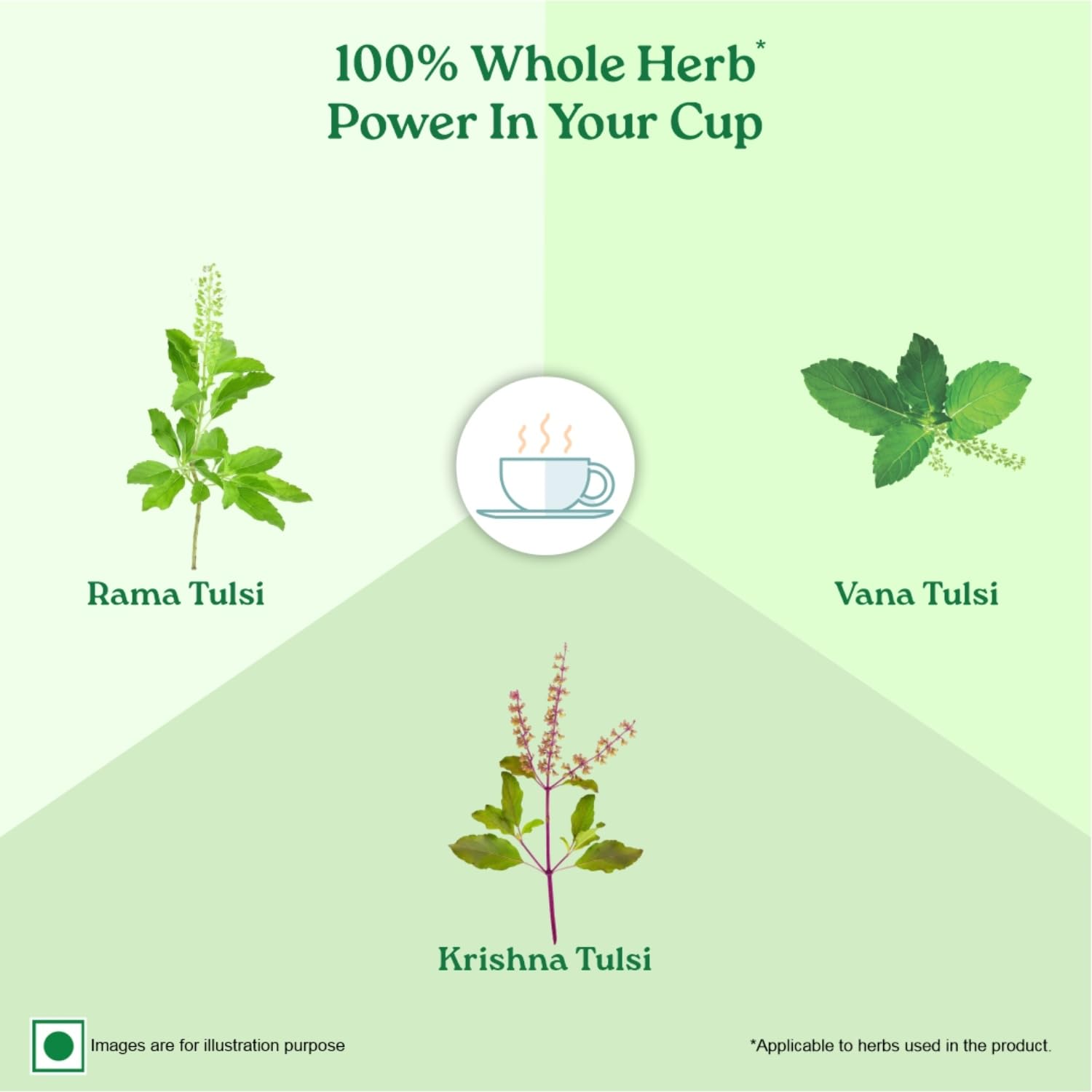 Green Tea Tulsi Pack of 25