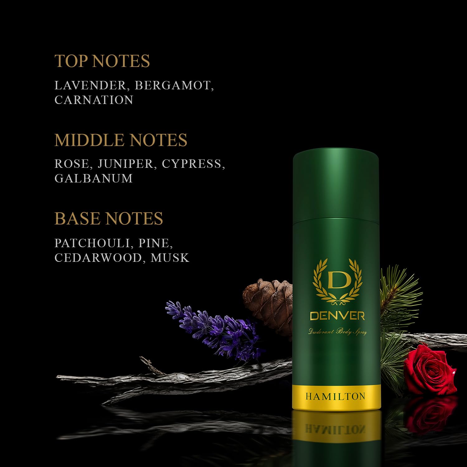 Denver Hamilton Men Deodorant Spray 150 Ml
