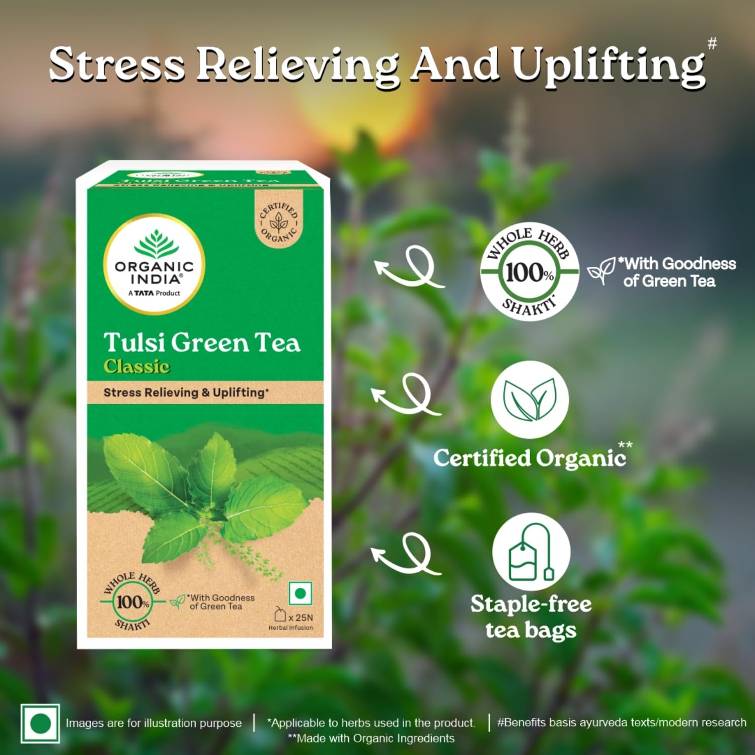 Green Tea Tulsi Pack of 25