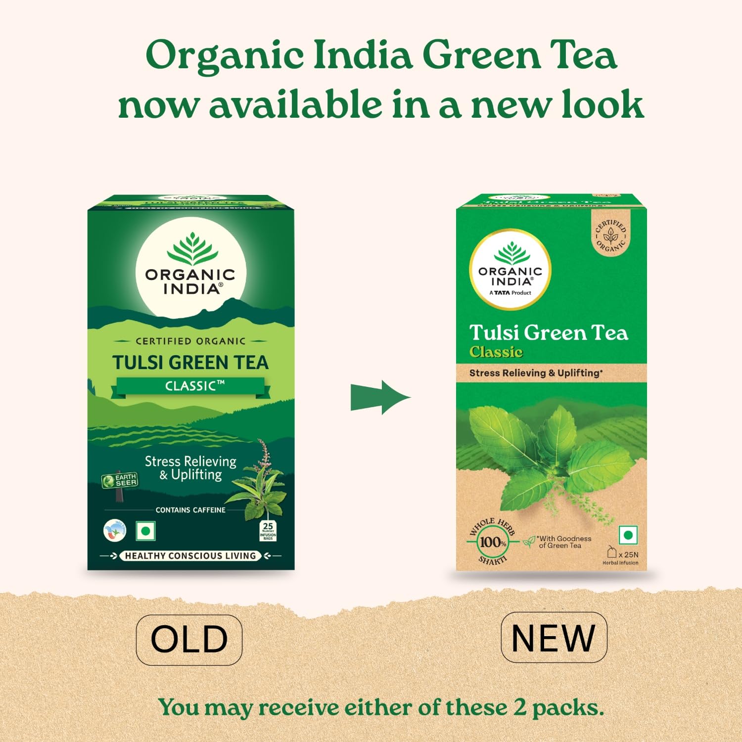 Green Tea Tulsi Pack of 25