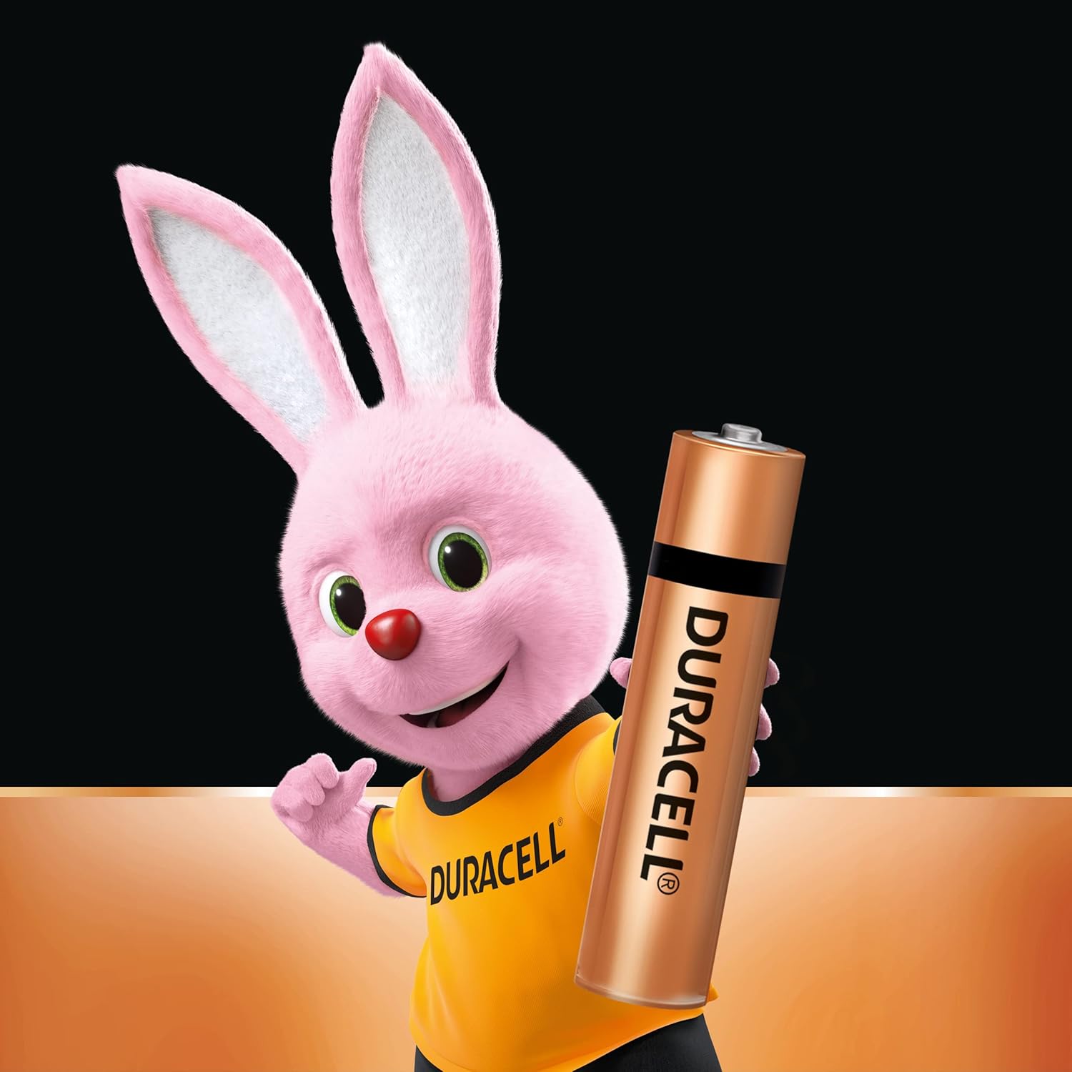 Duracell Alkaline AAA Battery