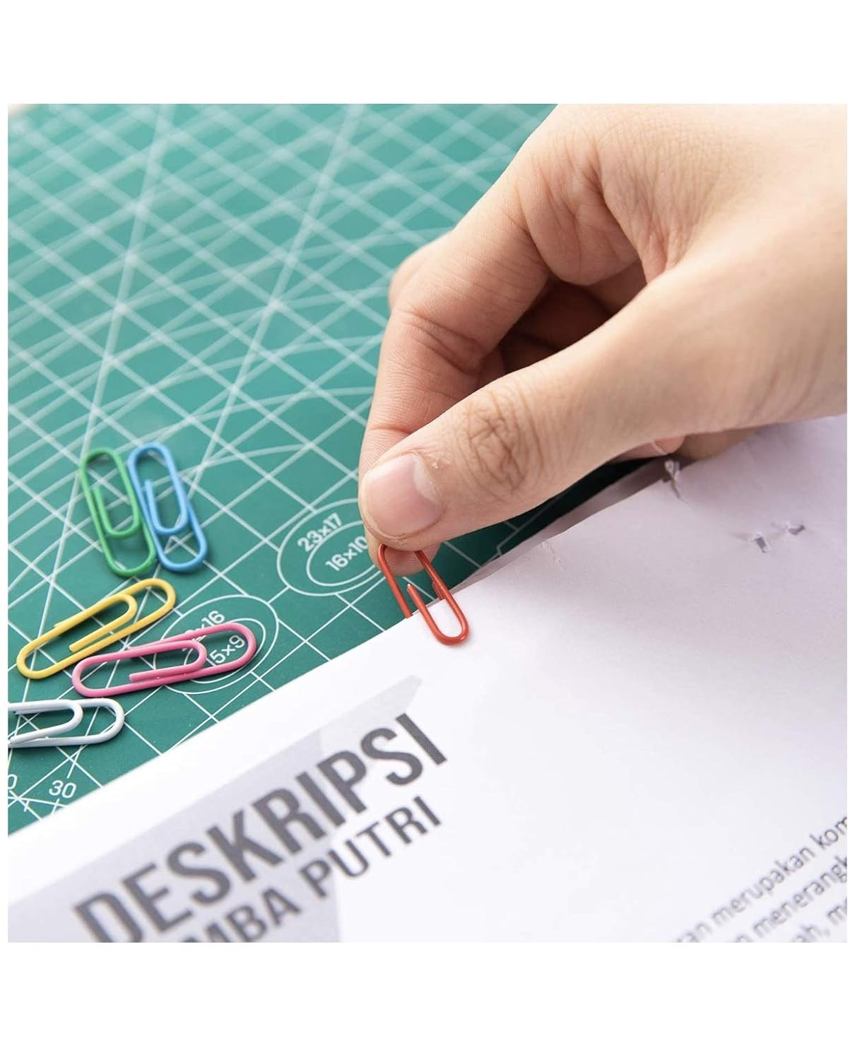 Paper Clip Colored Vinyl Coated Oddy