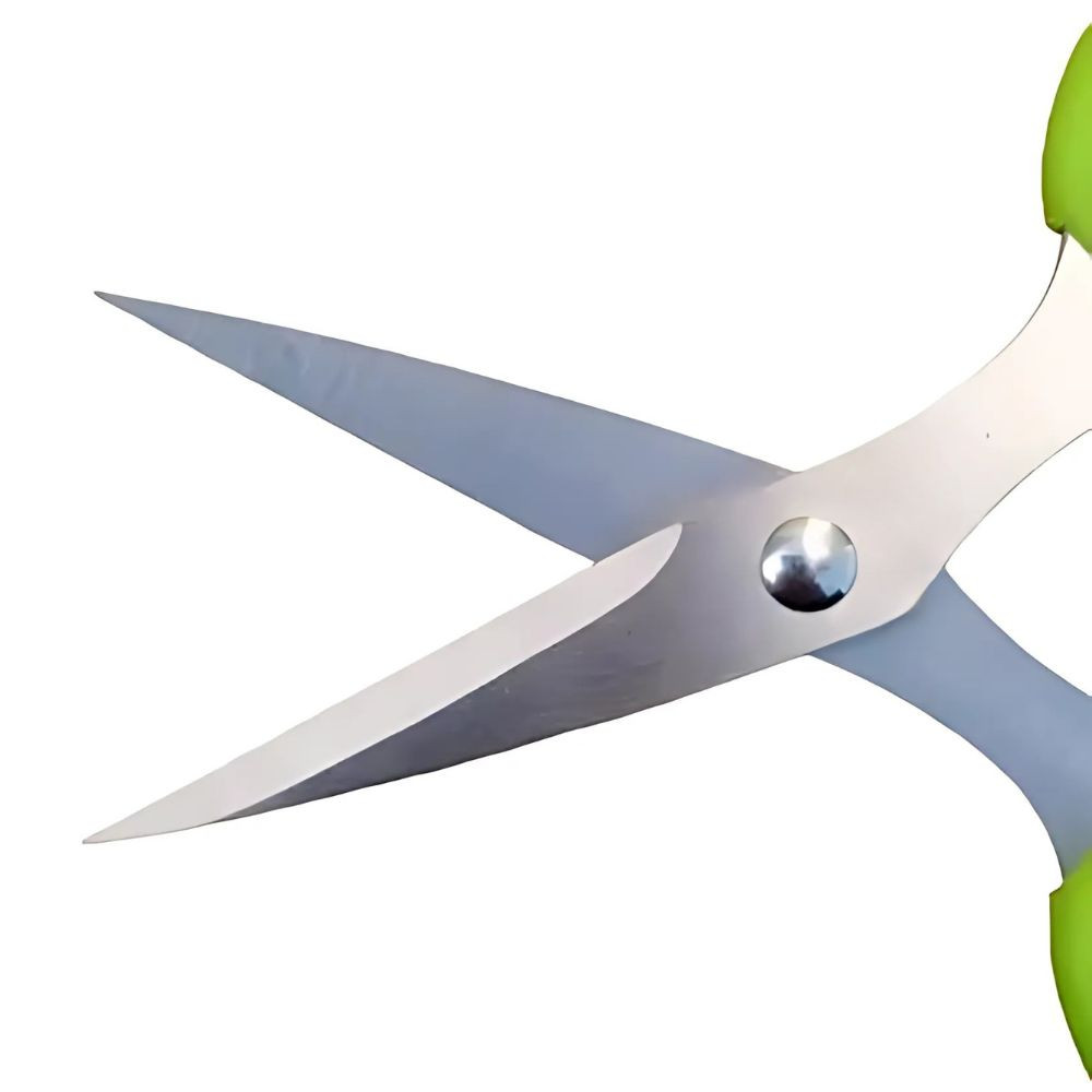 Scissors 5 SS-500A