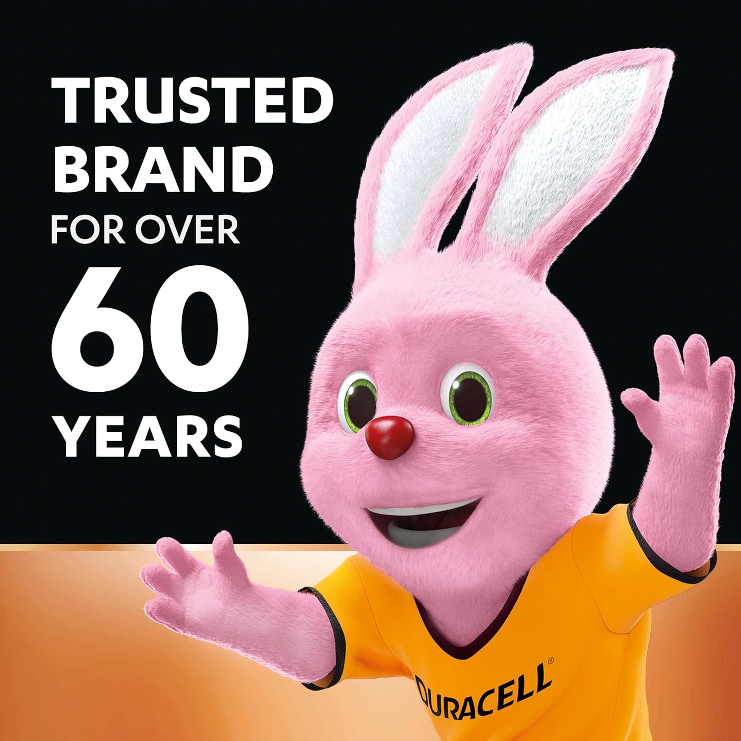 Duracell Alkaline AAA Battery