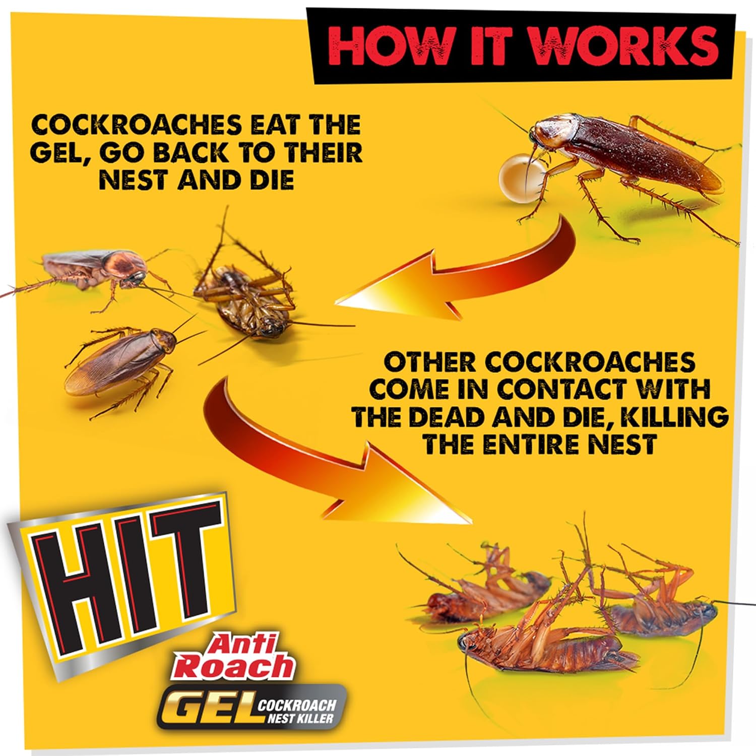Hit Anti Roach Gel Cockroach Killer 15 g