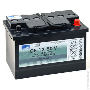 Taski Swingo 455 B Battery traction 12V 50Ah5