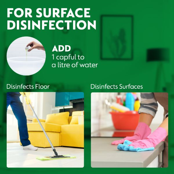 Antiseptic Liquid Dettol 1 Liter