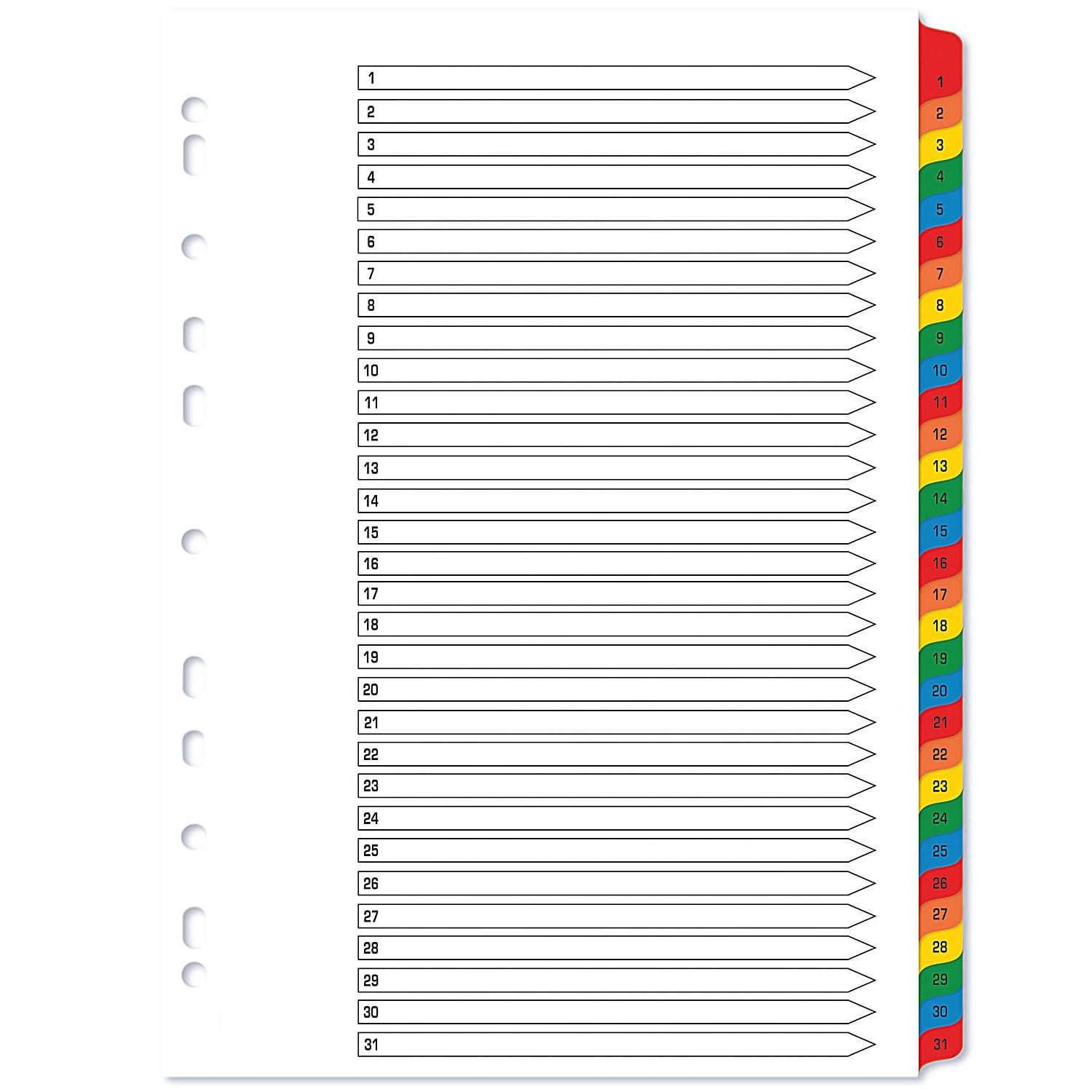 Divider 1 to 31 A4 WorldOne DV131