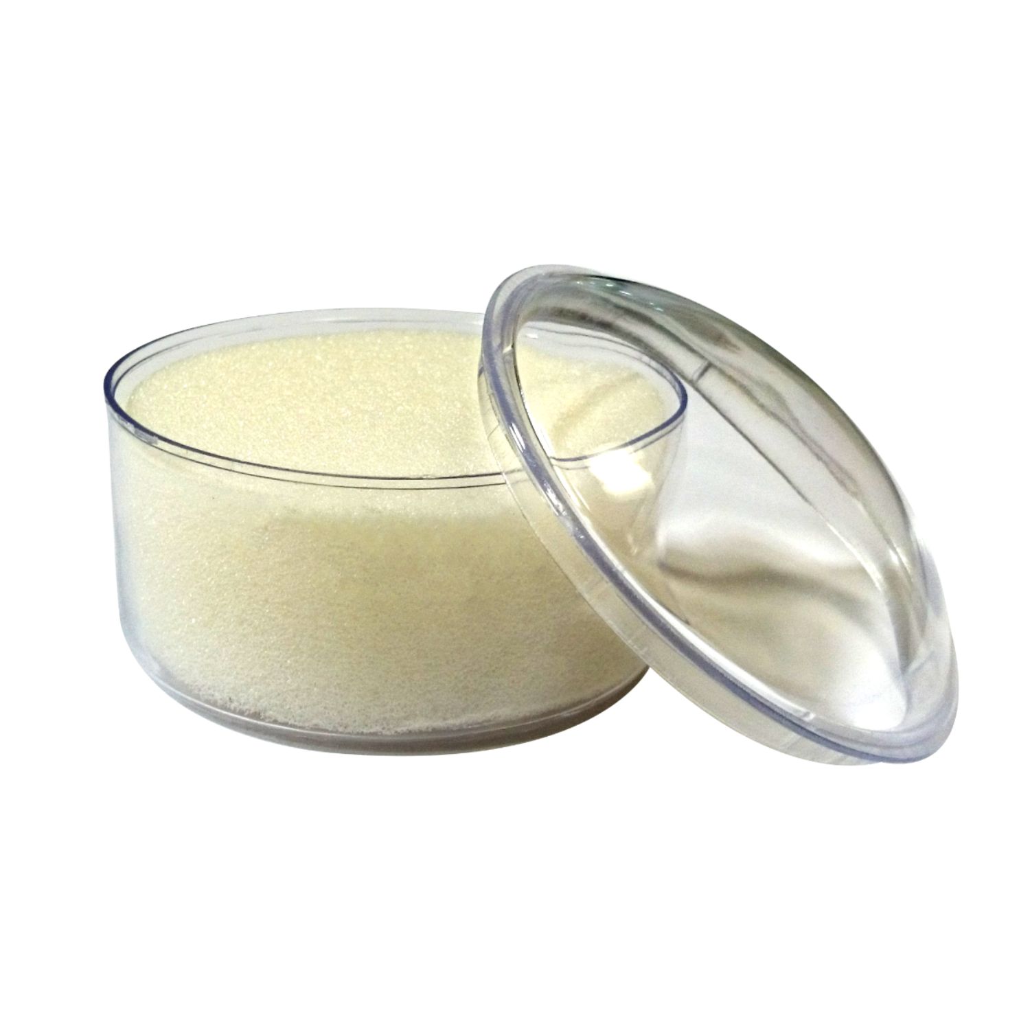 Sponge Cup with Cap Oddy DM-02